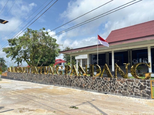 How To Take Better Concert Pictures in 30 Seconds